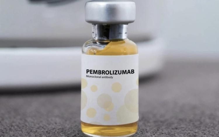 fn-2025-11-24-03-13-23-502